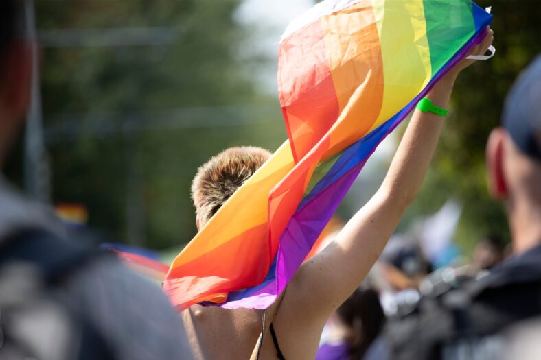 celebrate pride month, rainbow flag, person at parade